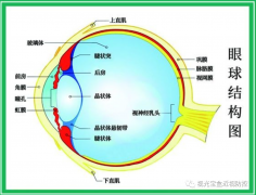 视光宝盒控轴仪控制眼轴异常增长对青少年近视